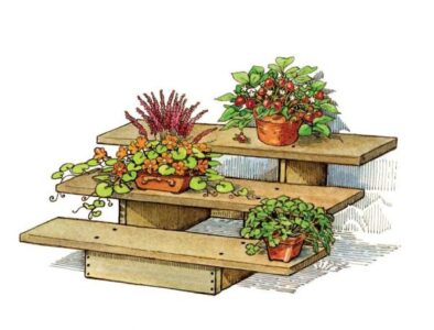 Country Lore: Back Porch Elevated Garden Image